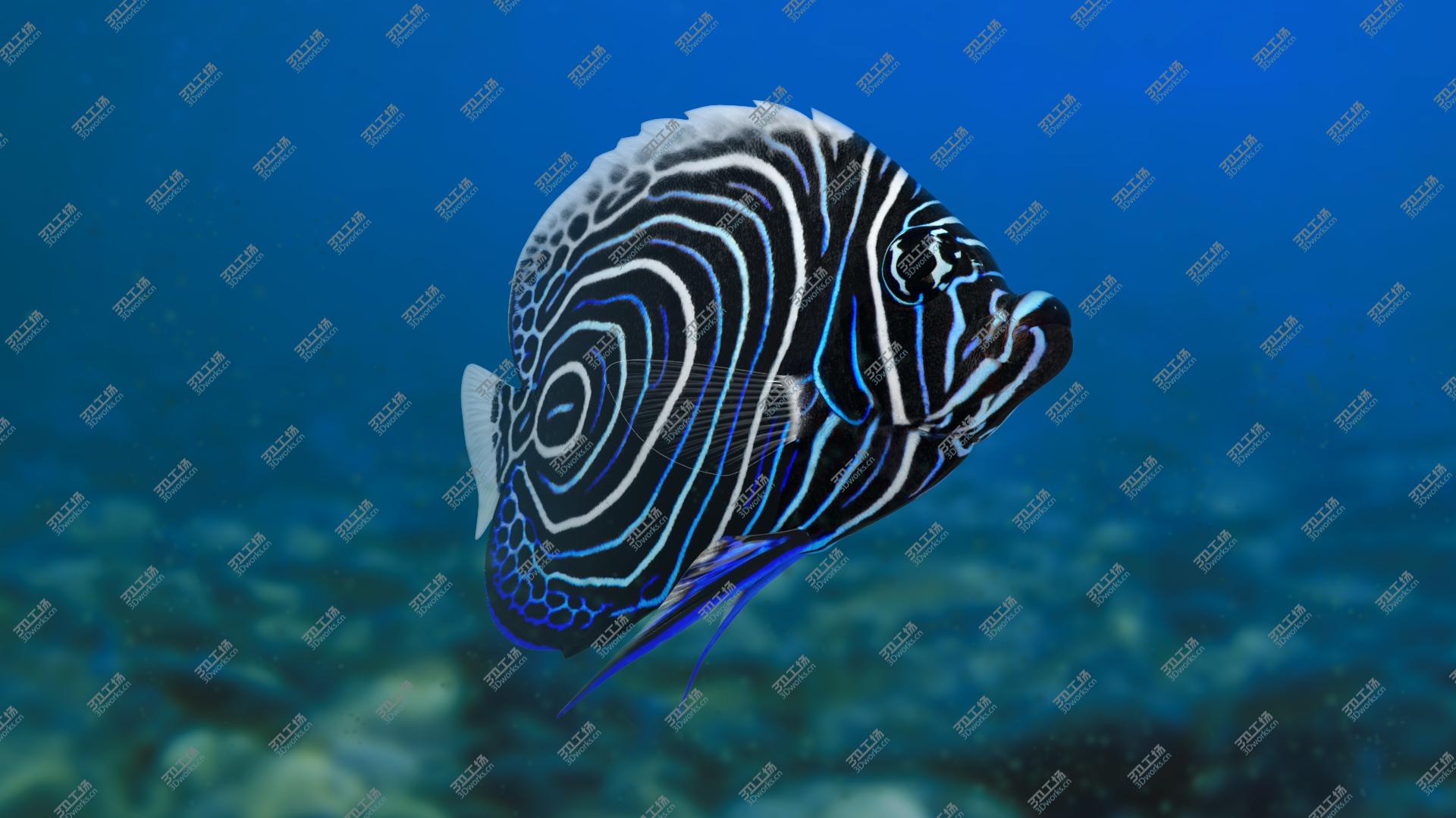images/goods_img/2021040164/3D Emperor Angelfish Animated/1.jpg
